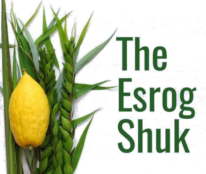 The Esrog Shuk Coupons and Promo Code